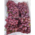 Abastecimento de preços de uvas de Yunnan